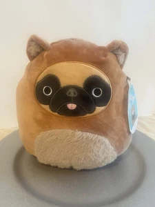 Squishmallows offizielles Kellytoys Plüschtier 8 Zoll Dally der Mops Hund im Bärenkostüm - Bild 1 von 10