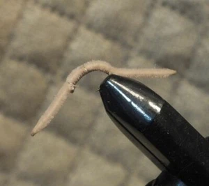 San Juan Worm - 1 Dutzend Würmer - Nassfliege - Größe 14 hellbraun F755 Forellenfliegen - Bild 1 von 1