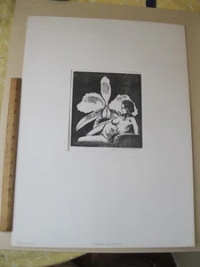 Vintage Print,ORCHIDS,Full,Signed,Matted,Jack Bowling - Picture 1 of 1