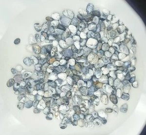 Natural Dendrite Opal Tumble Wholesale Lot, Amazing Dendrite Opal Tumble 72515 - Picture 1 of 8