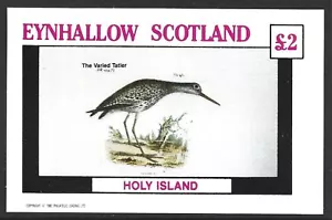 Hoja Eynhallow Scotland, 1982, £2, Bird, Varied Tatler, MNH Imperf M/S #M1645 - Imagen 1 de 1