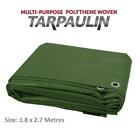 Multipurpose Polyethylene Tarpaulin Waterproof Furniture Caravan Cover Sheet 