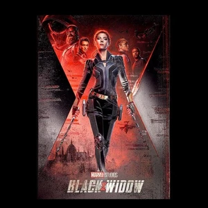 NEW Displate Limited Edition - Marvel Studios Black Widow, #171 - Picture 1 of 3