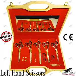 Left Professional Hairdressing Hair Scissors Shears 5 Pcs Set Hot New Year Gift✔ - Picture 1 of 6