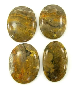 253.70 CT Naturel Bourdon Jaspre Ample 40-45 MM Gemme Cab 4 Pièces Lot - 1841 - Picture 1 of 2