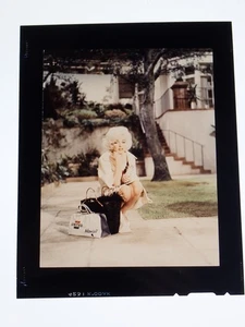 1962 Marilyn Monroe in Qualcosa deve dare foto grande formato trasparenza - Foto 1 di 1