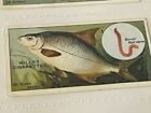 WD HO Wills cigarettes tabac carte à collectionner 1910 poisson et appât brème argent #16