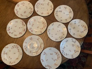 Vintage Limoges Set of 11 Luncheon Plates- France 1870- Hand Painted porcelain - Picture 1 of 12