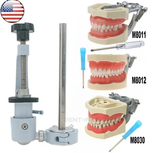 US Dental Typodont Model Mounting Pole for Kilgore Nissin Columbia 860 Frasaco - Picture 1 of 57