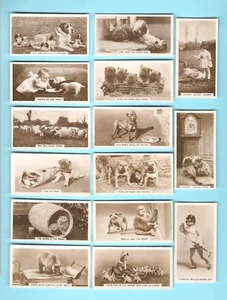 TARJETAS DE CIGARRILLOS. Millhoff Tobacco. FOTOS REALES (Animales).5º. (1933).(Juego de 27) - Imagen 1 de 1