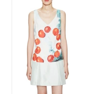 Misha Nonoo Sleeveless Top V-Neck Fruit Print Blouse Casual Size 6 - Picture 1 of 4