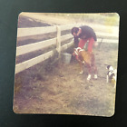 VTG Snapshot Photo 1970s Man Feeding Baby Calf Cow Ranch Rancher With Little Dog