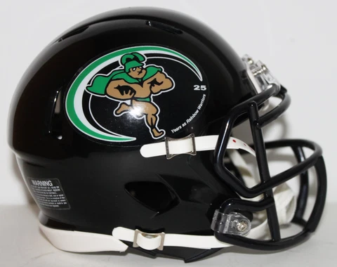 1999 Hawaii Rainbow Warriors Custom Riddell Throwback Mini Helmet Cover