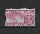 Newfoundland 1937 15C Seal Sg263d Perf 13 Mnh Cat£48