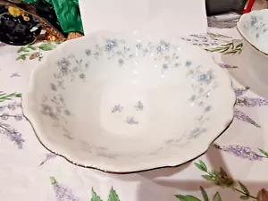 NEU OHNE ETIKETT VINTAGE ELEGANTE JOHANN HAVILAND BLAUE GIRNE RUNDE GEMÜSESCHALE - Bild 1 von 7