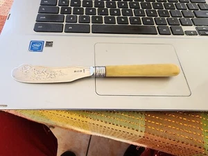 19th century 1890 English Sterling Butter Spreader Walker & Hall john Bingham - Picture 1 of 8