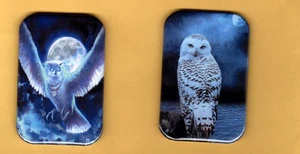 OWL  2 REFRIGERATOR MAGNET  2" X 3"  WITH ROUNDED CORNER - Picture 1 of 4