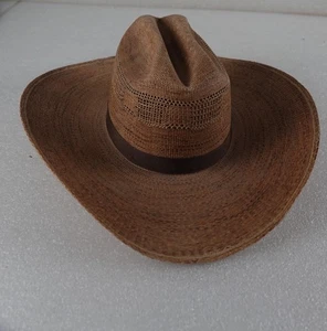 DE COLECCIÓN BANGORA STRAY COWBOY DIVISION OF AMERICAN HAT TAMAÑO DE COMPAÑÍA? - Imagen 1 de 10