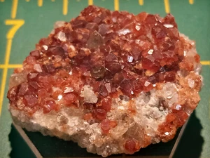 SPECTACULAR! Spessartine Garnets on Smoky Quartz & Feldspar Matrix. - China - Picture 1 of 7