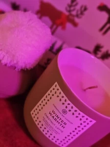 Winter Warmth Chesapeake Bay Soy Candle - Picture 1 of 5