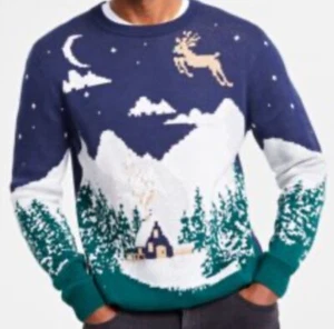 Holiday Lane sweater big Boy Size small Snowy Landscape Crewneck Sweater Blue - Picture 1 of 15