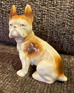 Vintage 1920er Porzellan Französische Bulldogge oder Boston Terrier Figur 3x 3x2" Japan - Bild 1 von 10