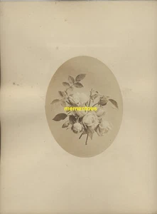 Still Life Roses Flowers c1861 Albumen Photograph W.H. Scott Collection - Picture 1 of 1