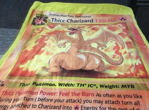 Thicc Charizard Blanket Soft Pokemon 57 in x 38 in - Picture 1 of 6