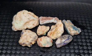 Mixed 39.1ct Australian Lightning Ridge Fossil Opal Gemstones Specimen lot - Picture 1 of 7