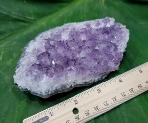 Amatista púrpura 14 oz. Grupo de Cristal Reiki Yoga Geología Brasil A2 - Imagen 1 de 10