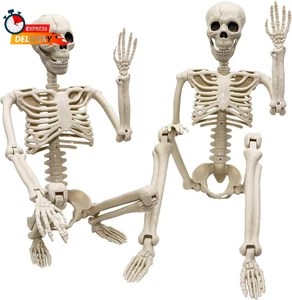 2er Pack 36" Halloween Skelett - 3 Fuß Lebensgroß Menschliches Skelett mit Ganzkörper Posa - Bild 1 von 6