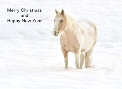 5 postales de caballos de Navidad 4x6. Foto 1 de 2