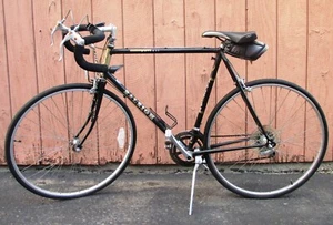 Raleigh Pursuit Classic 12 Speed 70's - Picture 1 of 2