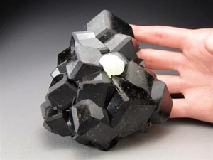 Andradite Garnet w/Prehnite, variety Melanite, Kayes Region, Mali - Picture 1 of 3