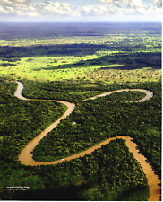 2019 Print Brazil Parque Indígena do Xingu Indigenous Park Forest
