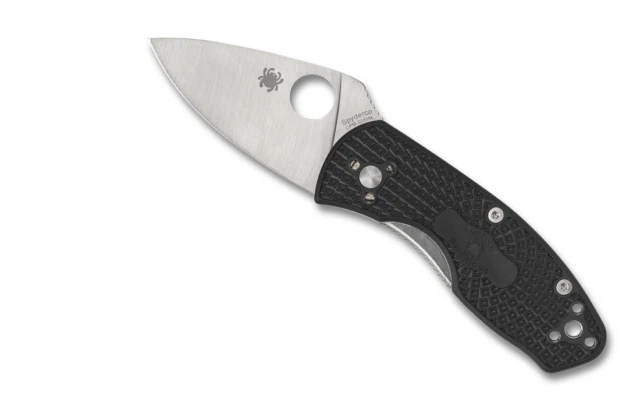 Spyderco Ambitious 2.43 inch Pocketknife - C148PBK