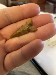 St Clair co Illinois Cahokia arrowhead Indian 1 3/8 inch - Picture 1 of 2