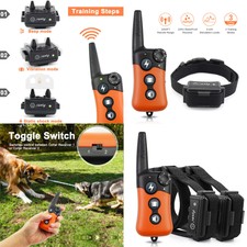 blue gotti pitbull puppies