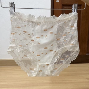 Vintage Sheer Silky Light Granny Panty Floral Lace Sissy Brief High Waist 26-28" - Picture 1 of 24
