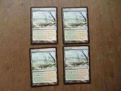 Coldsnap  MTG  Playset  Arctic Flats  Magic - Image 1 of 2