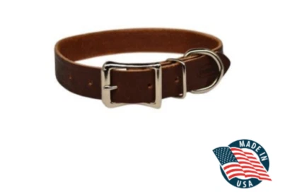 Collar de cuero Warner Sporting Cumberland para perro pequeño (3/4") etiqueta grabada gratis EE. UU. Foto 1 de 4