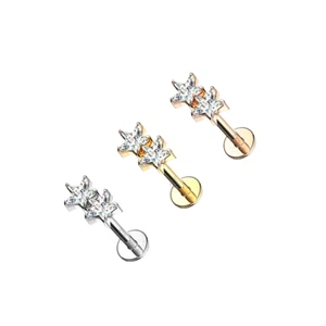 Twin Star Top Internally Threaded Flat Back Studs Labret Monroe Ear Cartilage - Picture 1 of 6