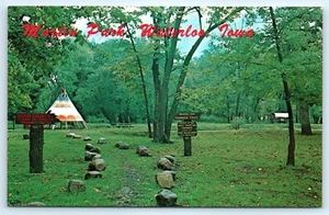 Postcard IA Waterloo Martin Park Photo View Vtg K1 - Picture 1 of 2