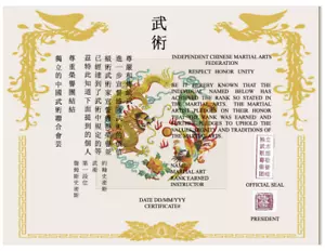 Martial Art Rank Recognition Certificate - Picture 1 of 3