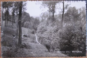 Holandés RPPC BEMELEN Camino Forestal Wandelweg Zelanda Países Bajos Foto Borde Cubierta - Imagen 1 de 2