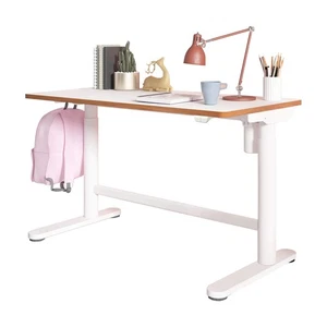 FLEXISPOT Study Desk Electric Elevating Desk Easy to Assemble Adjustable He 281 - Picture 1 of 8