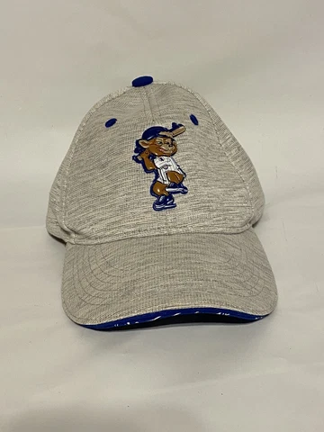Chicago Cubs Mascot Clark Batting Snapback Hat Melonware RARE Cover