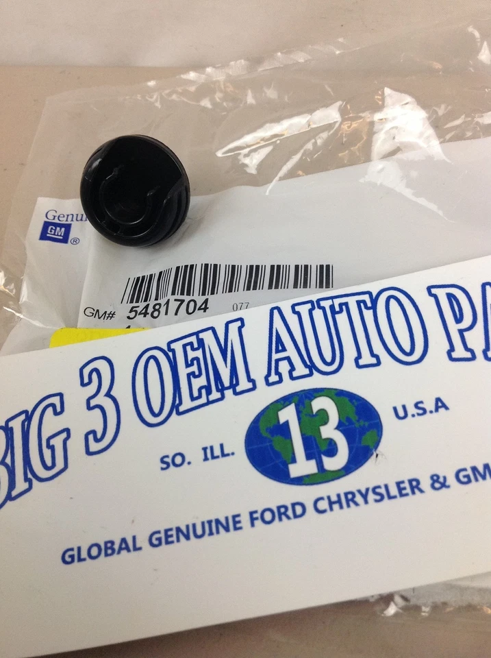 Chevrolet Equinox Pontiac Torrent Tanque de Combustible Llenadora Puerta PESTILLO Nuevo OEM 5481704 Foto 1 de 2