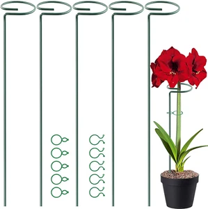 5 Pack 17 Inch Plant Support Stakes, 4Mm Thick Garden Single Stem Flower Support - Picture 1 of 8