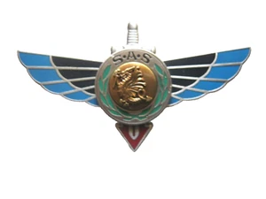 COMMANDOS PARACHUTISTES BREVET 1° RPIMa RAPAS SAS 1° NIVEAU BRONZE ETAT SUP - Picture 1 of 2